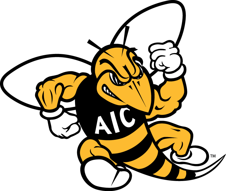 AIC Yellow Jackets 2009-Pres Primary Logo iron on transfers for clothing